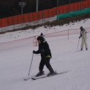 양지파인리조트 이미지