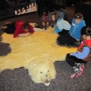 돌고래와펭귄 이미지