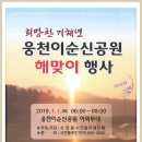 시전동 (희망찬 기해년 웅천 이순신공원 해맞이 행사 2019.1.1) 이미지