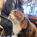 웰컴레인 이미지