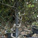 들뫼영농조합법인 이미지