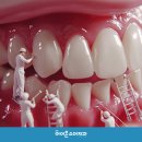 한강아이온소아치과치과의원 | 경기도 초등학생 치과주치의사업은 한강아이온소아치과에서 받으세요!