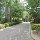 신금호 부동산중개 이미지