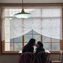 메리클리프 | 거제 크리스마스트리가 예쁜 연초카페 메리클리프