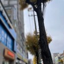 브이 | 연신내피부과 피코토닝, 엑셀브이 후기