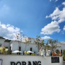 포랑PORANG 이미지