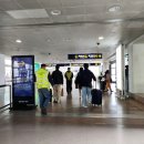 원화로4(서) | 상하이 공항에서 시내 4인 가족 디디택시 이용 방법 후기 및 가격