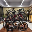 마린블루's 이미지