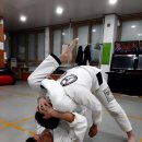 보은로 네이버블로그