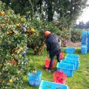 애자농장 이미지