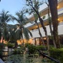 그린몽키 | 피피섬 레이지 투어 씨스타 그린망고홀리데이 예약후기 / 카이섬 필레라군 마야베이 몽키비치_2026.02.21