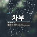 조선유통 이미지