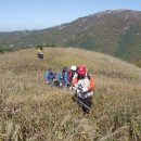 대공 울산산악회 10월산행사진 (영축산) 이미지