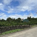 은하네농장 이미지