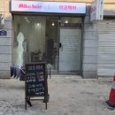 댄디애견 | 성수동1인미용실 애견동반 성수동미코헤어 남자 숏컷 댄디 볼륨펌 후기