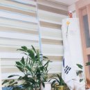 호국태권도체육관 이미지