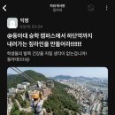 금여 | 코 끝에 찾아온 낯선 봄의 향기