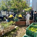 초지동행정복지센터 이미지