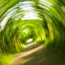 스위스 보청기 대구점 이미지