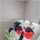 이앤수영어학원 네이버블로그