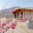 팔금면사무소 | 내 고장 내가 먼저 알기 ㅡ임자도 조희룡 선생 유배지ㆍ만구음관ㆍ홍매화