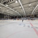 팀아즈 제1회 번외운동 후기 : 안양종합운동장 빙상장