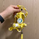 클립 | 강아지 산책 다이소꿀템, 헬로마이펫 강아지하네스 해충방지클립 후기