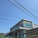 단원마트 | 안산 단원구 대부동동 대부도 마트 하나로마트 군자농협대부점 방문 후기 리뷰
