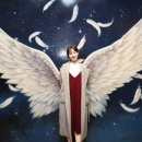 브이얼라이브 네이버블로그