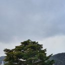 만금 2농장 이미지