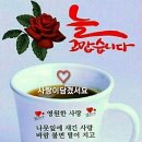 ♤백일홍(百.日.紅)♧ 이미지