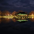 수달 화장실 | [부여 여행] 궁남지 야경 명소 | 카페·짐보관함·수달까지 (뚜벅이팁)