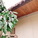 세도나중문 풀빌라 이미지