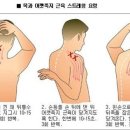 목담 이미지