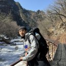 태백온천 자판기