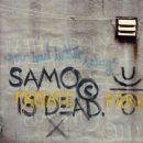 피카소장 이미지