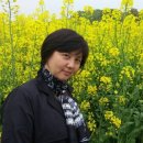 한겨레치과의원 이미지