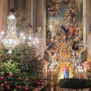 개들의성 | 유럽 크리스마스 비엔나 여행 일정 성베드로교회 크리스마스 신년 콘서트 후기