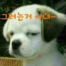 땡큐주유소 이미지