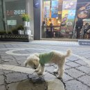 미소야북문로점 이미지