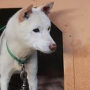 원경펜션 이미지