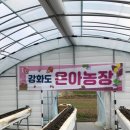 화도농장 이미지