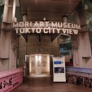 모리스테이 이미지