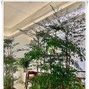 하루한올 이미지