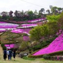 마이산꽃펜션