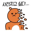 쭈퐁 이미지