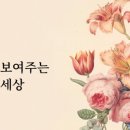 더 일러스트 앤 아트 주식회사