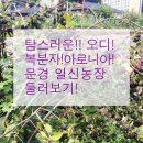 일신농장 이미지