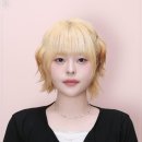내모습사진관 - 서천군 서천로 128 | 내모습사진관