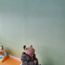 옥정미소약국 이미지